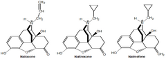 <p>What substitution(s) on the amine is associated with antagonist activity?</p>