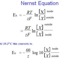 <p>The bottom equation is one you don't have to do math for. memorize it.</p>