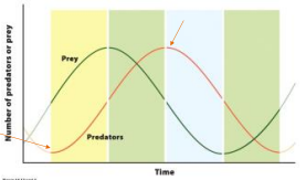 <p>Predator population sizes </p>