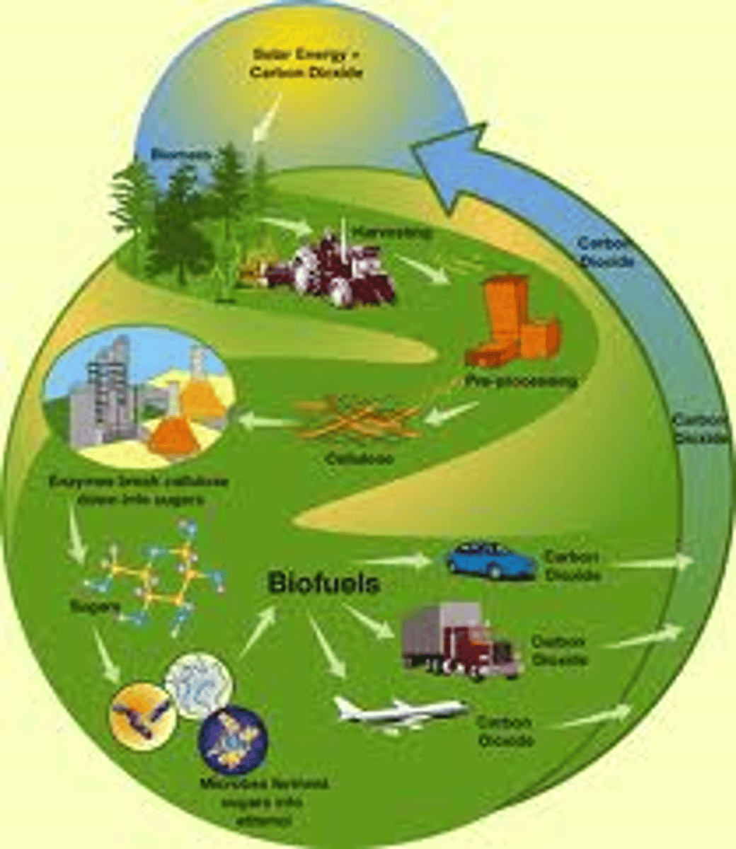 <p>- Burning plants to produce fuel.</p><p>- They produce emissions.</p><p>- Takes a lot of land to grow biofuel crops on.</p><p>- Those crops can lead to less food crops being planted and so the prices can increase and affect people.</p>