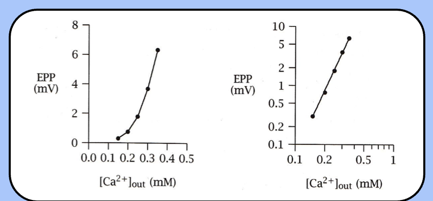 <p><span style="font-family: "Helvetica Light";">EPP = k[CaX]<sup>4</sup></span></p><ul><li><p>suggesting that there are four CaX complexes that work cooperatively to trigger neurotransmitter release</p></li></ul><p></p>
