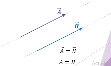 <p>vectores iguales</p>