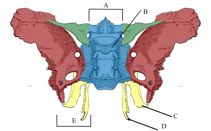 <p>Label E</p>