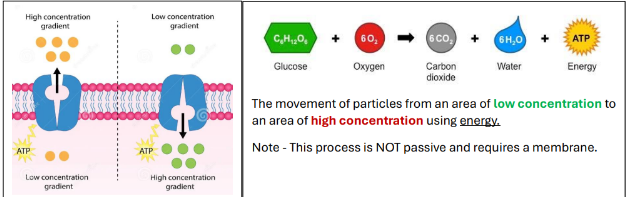 <p>no - it requires a membrane</p>