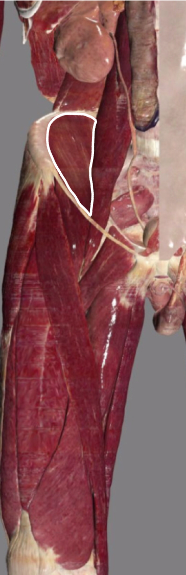 <p></p>