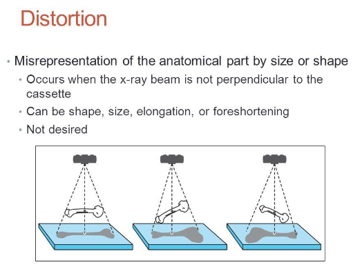 <p>misrepresentation of anatomical part by size/shape </p><ul><li><p>occurs when x ray beam is not perpendicular to cassette/film </p></li><li><p>shape, size, elongation,foreshortening</p></li></ul><p></p>