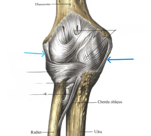 <p>Blauw? Beide blauwen(2 verschillende namen)</p>