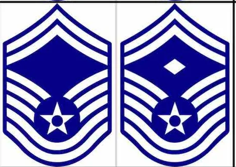 <p>E-8 Senior Master Sergeant</p>