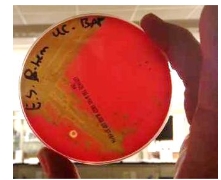 <p>What is this </p>