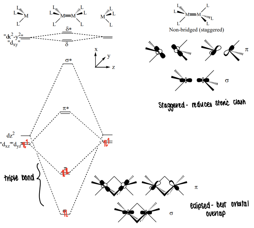 <p>The dxz and dyz orbitals become hybrids as they are mixed with dx2-y2 and dxy orbitals respectively. This causes tilting which causes the pi and pi* orbitals to have some delta character.</p>