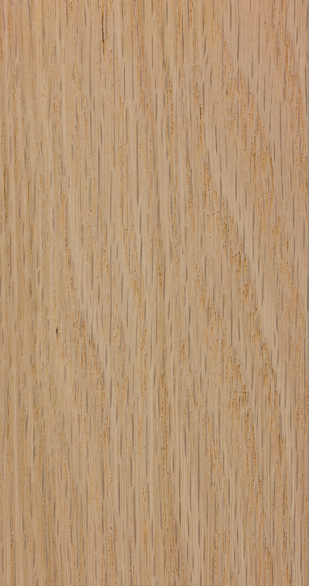 <p>ring porous </p><p>thick rays easily visible to the naked eye </p><p>ray flecks ¼ to 1” long on tangential surface </p><p>reddish/pink cast to heartwood, vessel tyloses absent </p><p>latewood vessels in “flame” tracts</p>