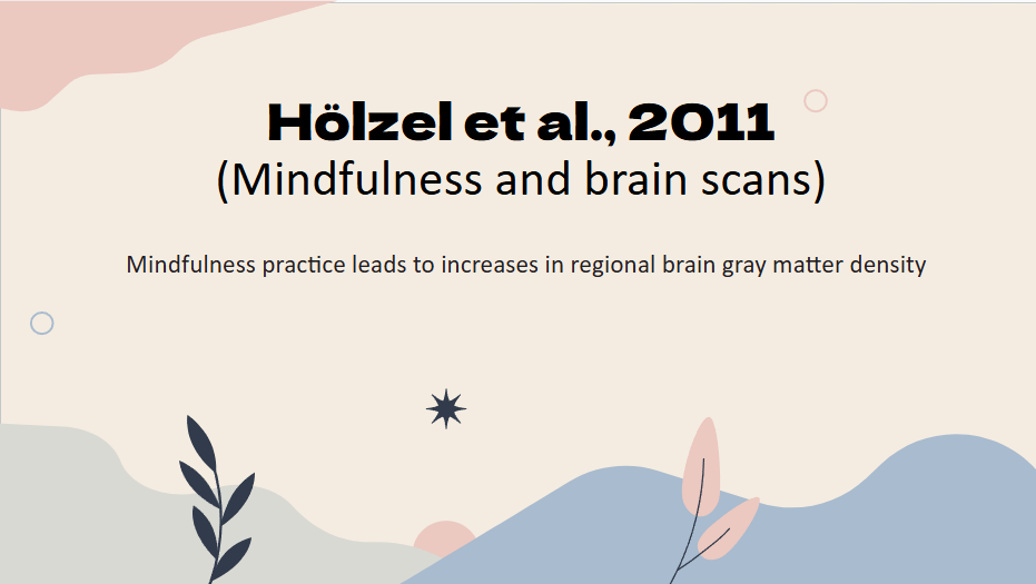 <p><strong>Biological Approach<br></strong><em><u>-Holzel-</u></em><br><br>What is it about?</p>