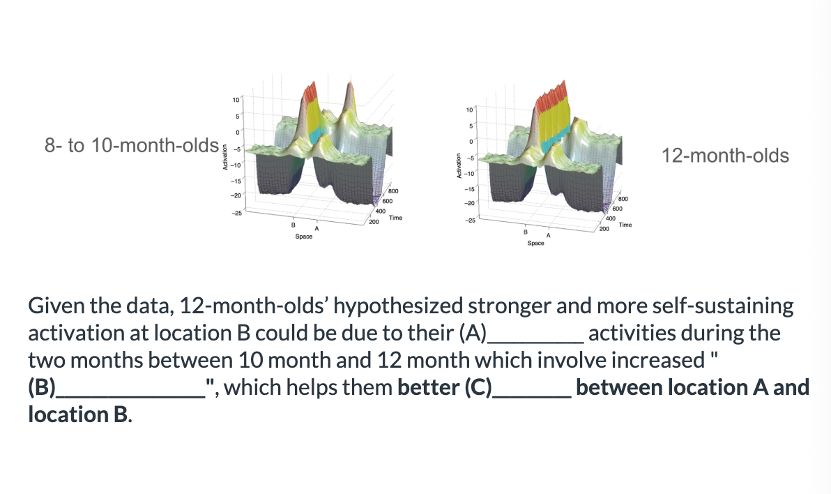 <ol><li><p>A: experience perceiving, B: real-time </p></li><li><p>A: real-time, B: experience perceiving </p></li></ol><p></p>