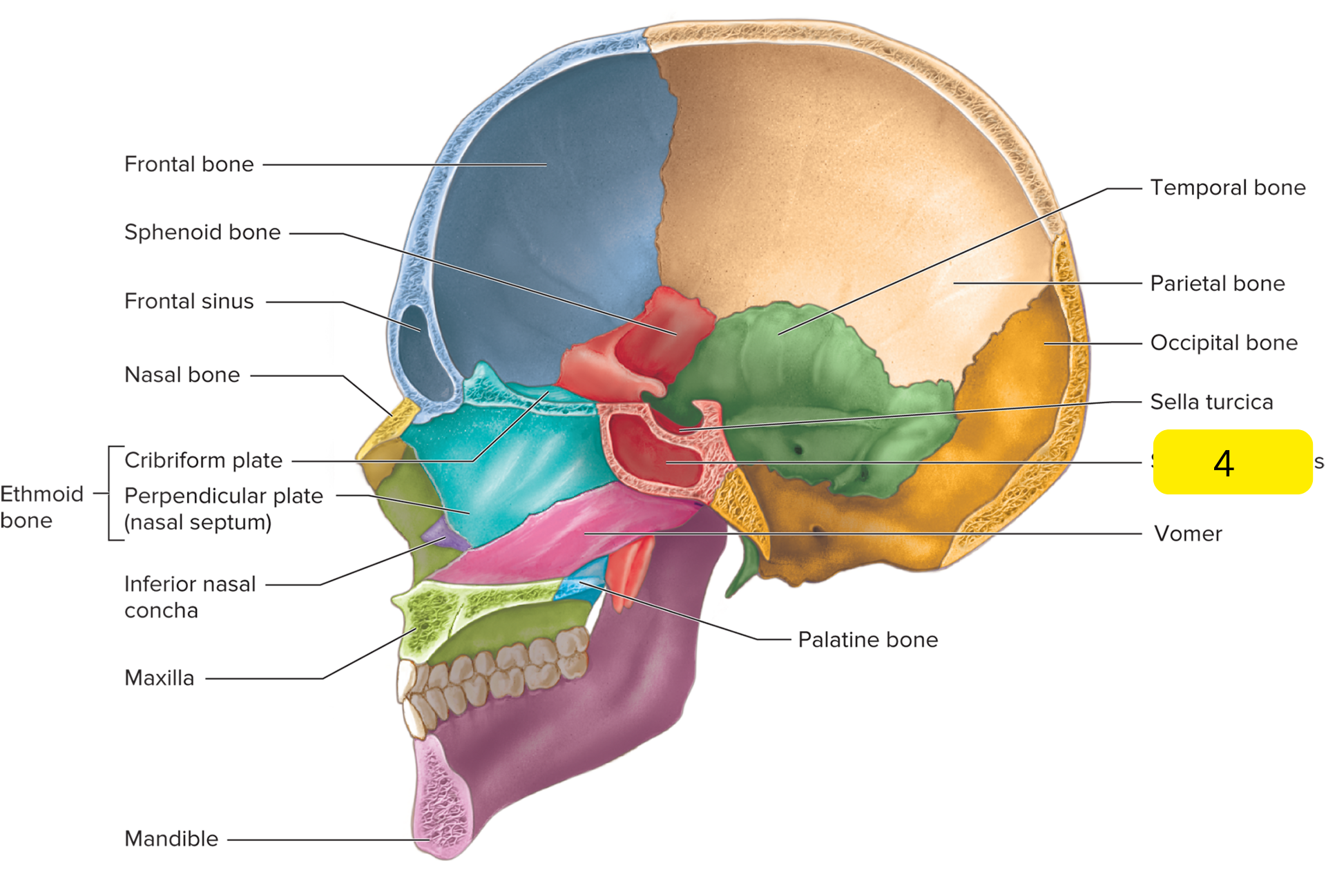 <p>What is #4?</p>