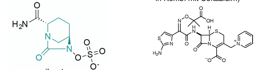 <p>β-Lactamaseinhibitoren </p>