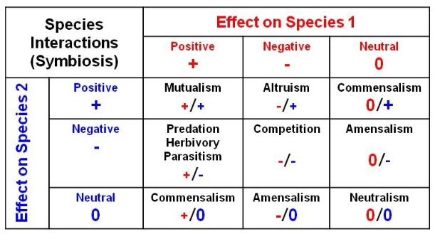<p>behavior by an individual that increases the fitness of another individual while decreasing its own fitness.</p><ul><li><p>- an organism can pass on its genes by ensuring that relatives survive</p></li></ul><p></p>