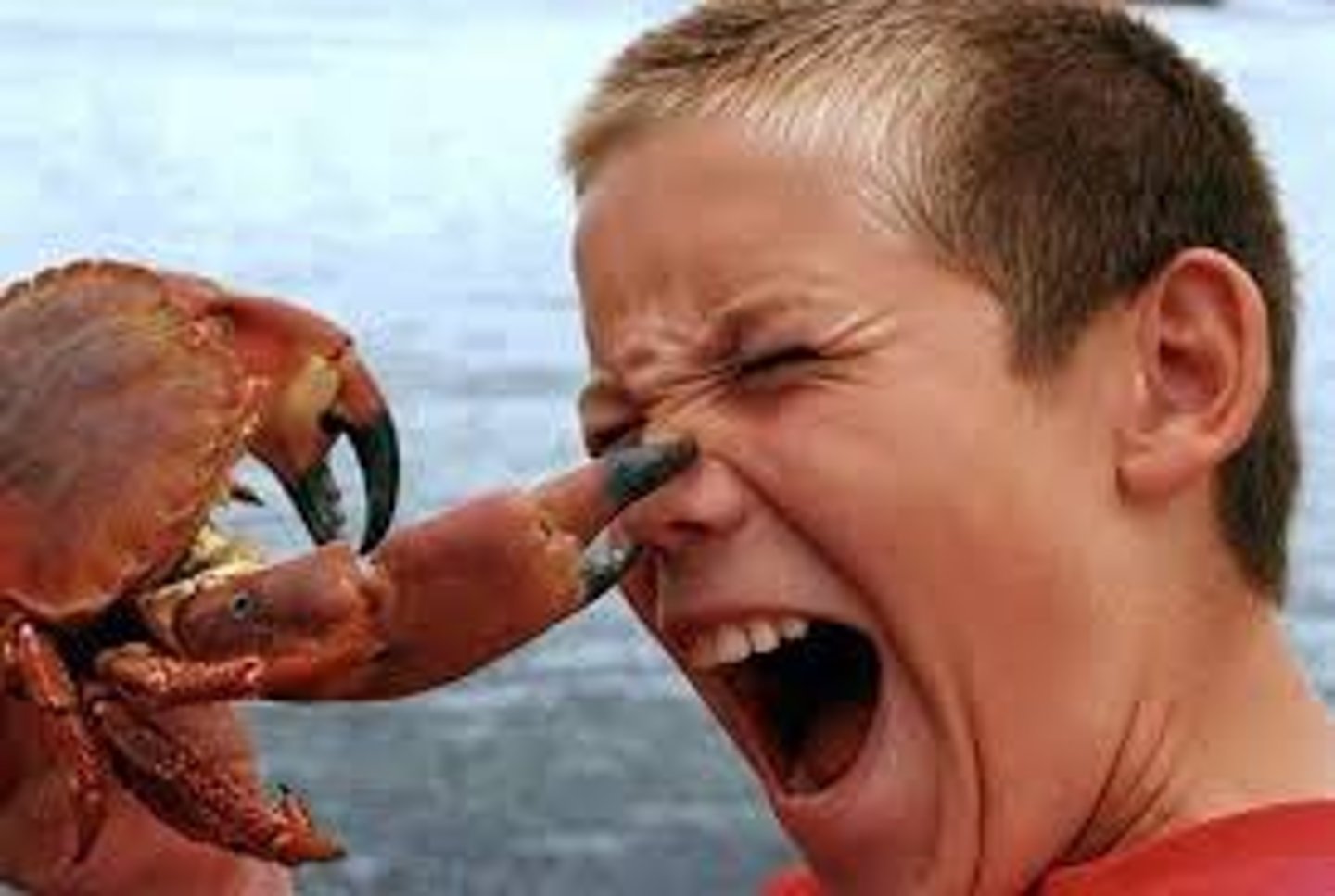 <p>một cách sâu sắc (nhận thức hoặc cảm nhận một điều gì đó rất rõ ràng và mạnh mẽ)</p>