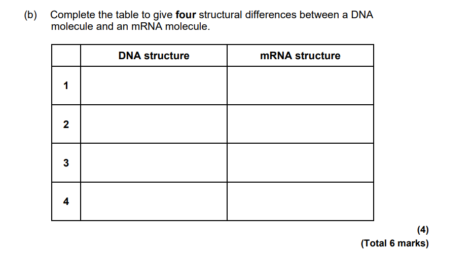 <p>Give 4 structural differences between mRNA and DNA</p>