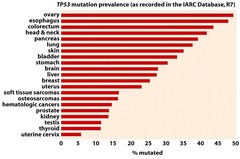 <p>can lead to uncontrolled cell proliferation and is common in many cancers.</p>