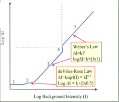 <p>Square Root Law Region: How is the threshold determined in this region?</p>