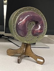 <p>What blood cell model is this?</p>