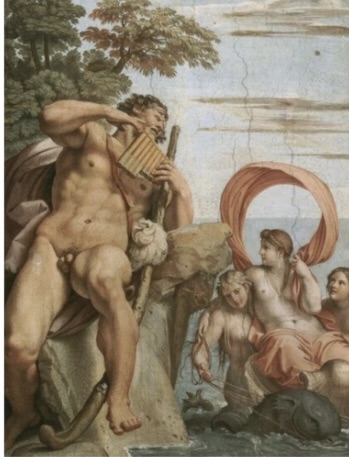 term image