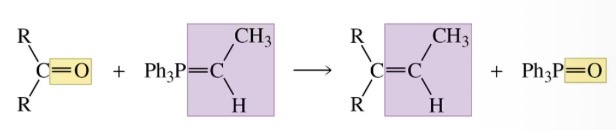 <p>An alkene</p>