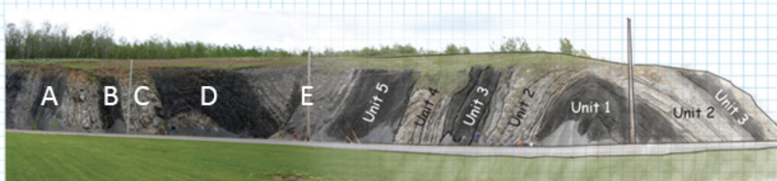 <p><span>This image shows folded layers of sandstone and shale in an outcrop of the Stellarton Formation (Pennsylvanian) near New Glasgow, Nova Scotia. None of the layers is overturned. Which of the following portions of the diagram corresponds to Unit 4?</span></p>