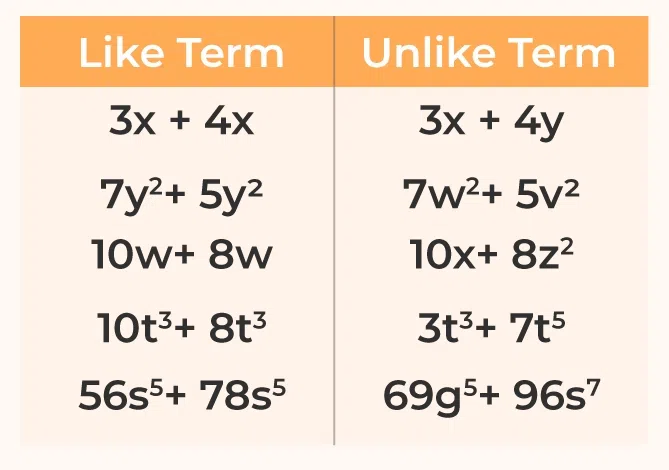 <p>Terms in an algebraic expression that have the same variable and raised to the same powers, differing only by their numerical coefficients.</p>
