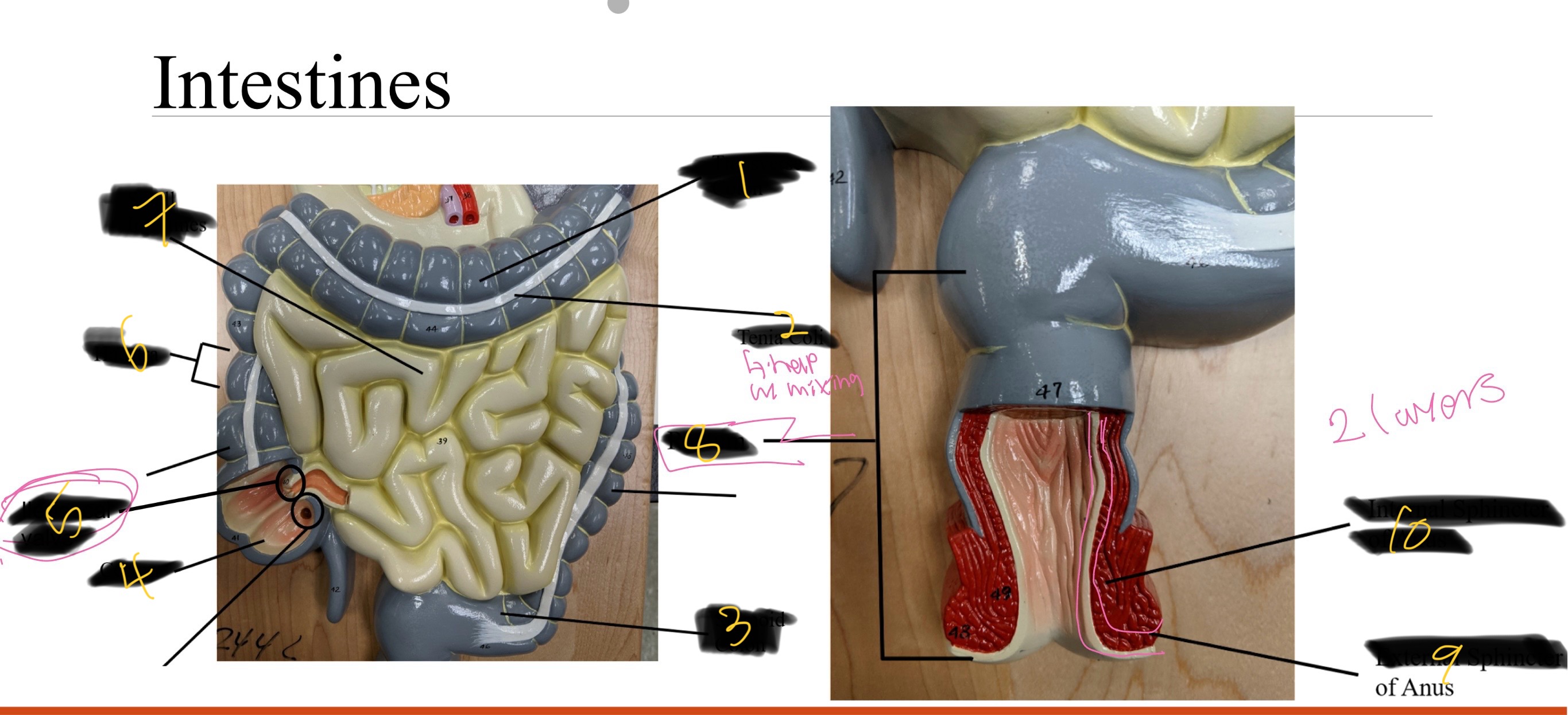 <p>9 (two layers) </p>