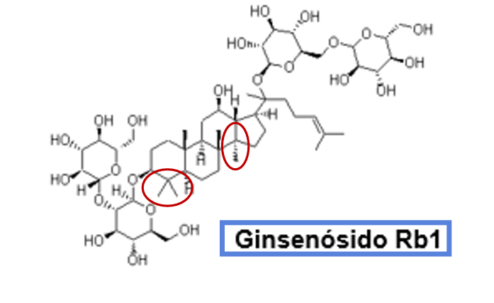 <ul><li><p>especie</p></li><li><p>parte da planta</p></li><li><p>nome</p></li><li><p>propriedades farmacologicas:</p></li><li><p>caracteristicas</p></li></ul><p></p>