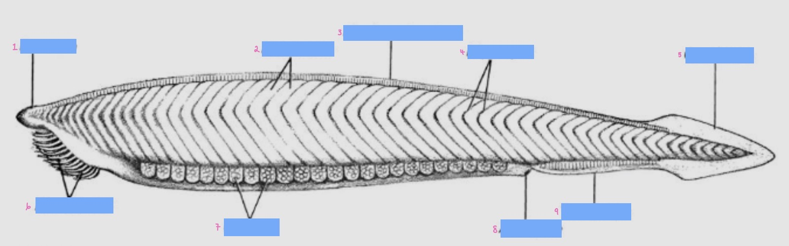 <p>8</p>