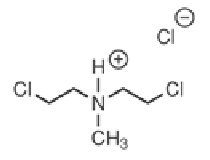<p>what structure is this?</p>