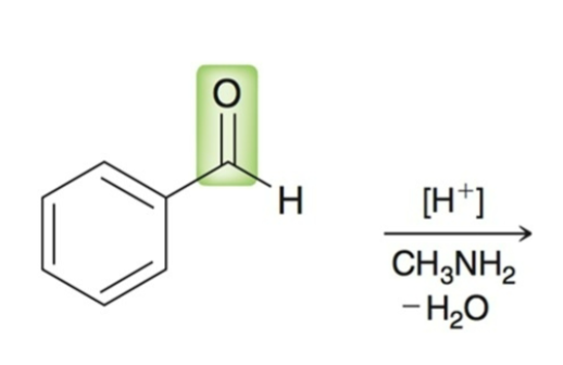 <p>ketone/aldehyde + primary amine</p>