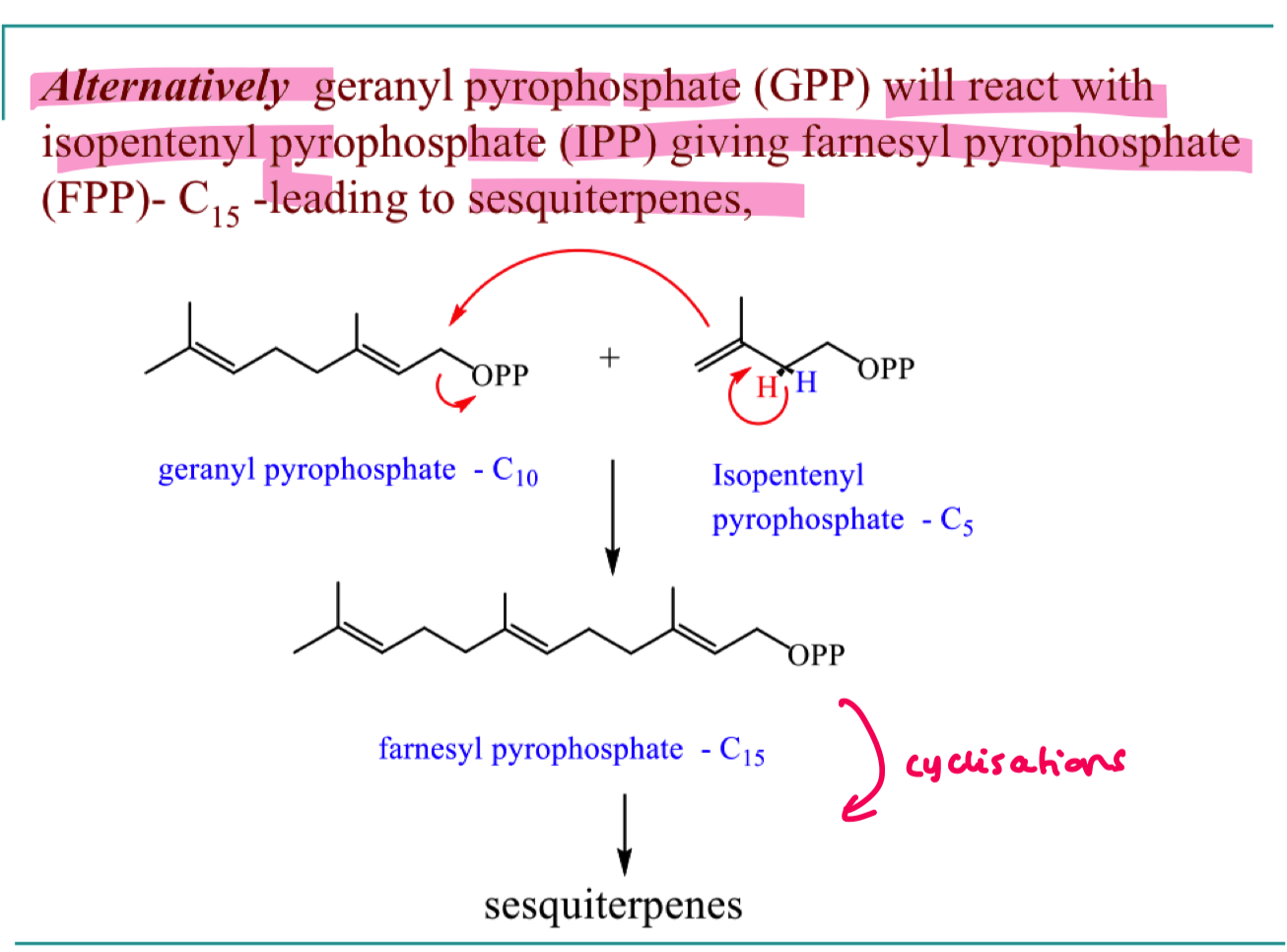 <p>3 x C5 units </p>