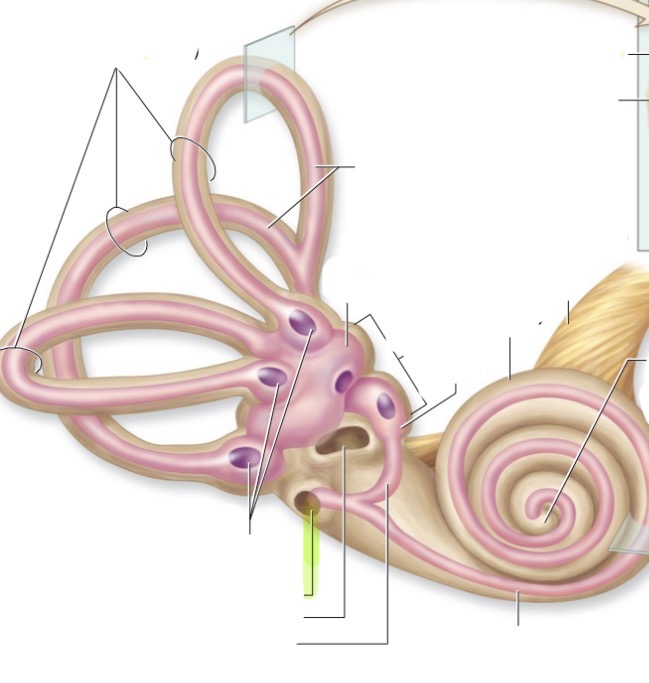 <p>what it this </p>