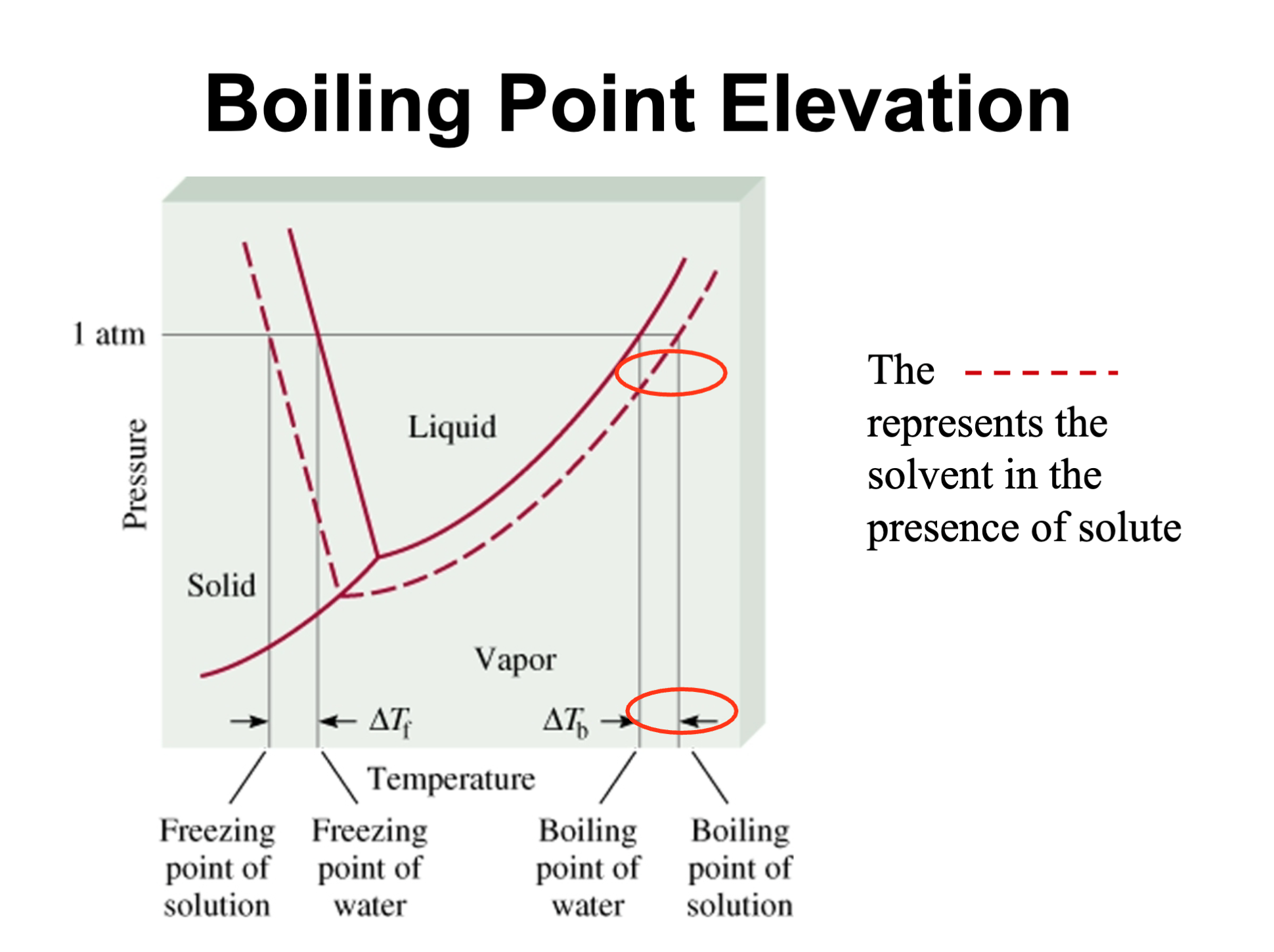 <p>Solid to the left</p><p>Liquid in the Y</p><p>Vapor to the right</p><p>Dashed Line = presence of solute</p>