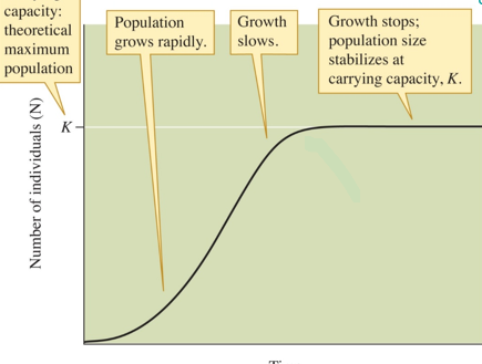 <p>An S-shaped (sigmoid) curve that levels off at carrying capacity</p>