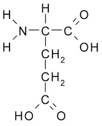 <p>What is this amino acid and its codon?</p>