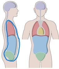 anterior body cavity containing thoracic and abdominopelvic cavities