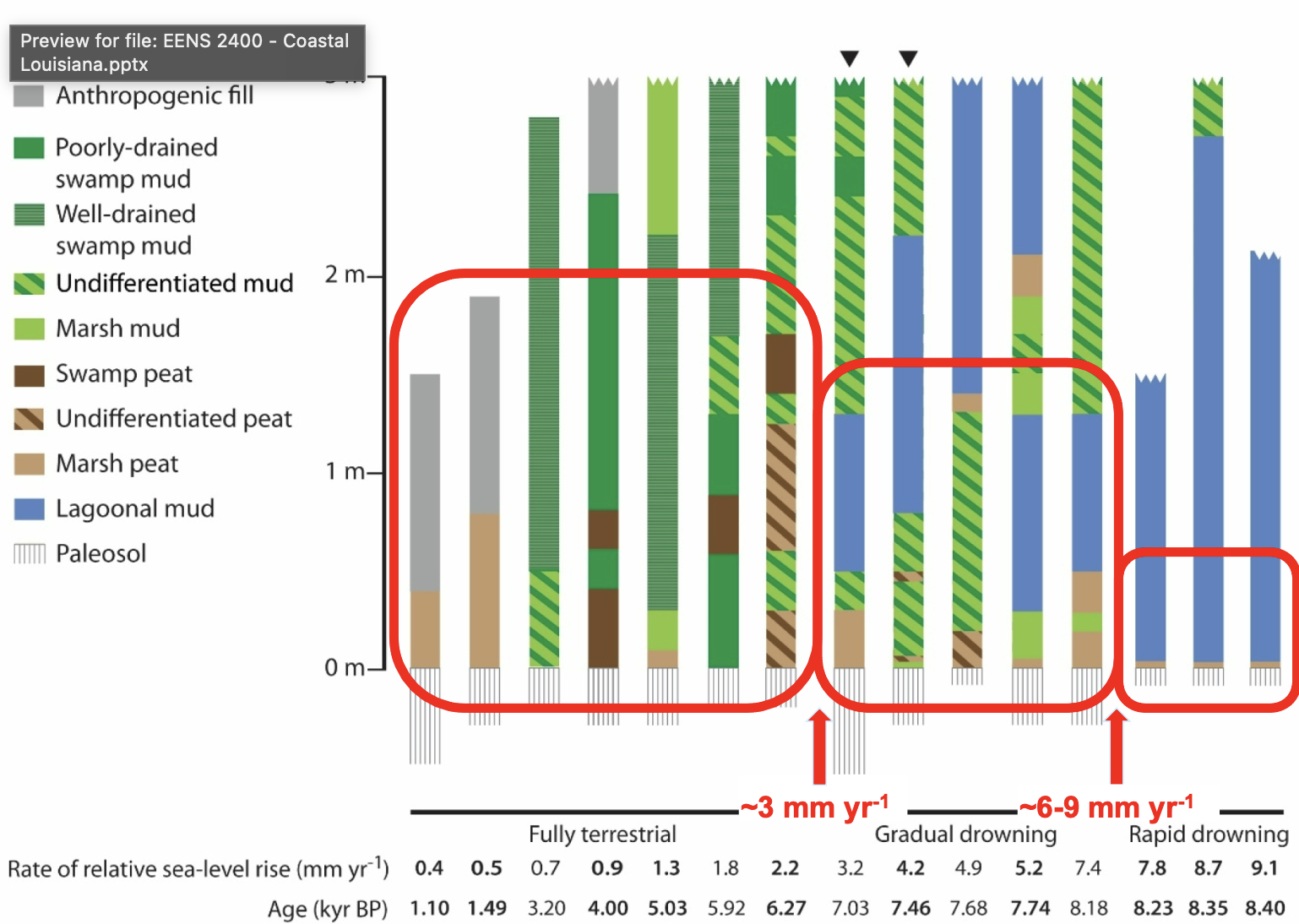 <ul><li><p>shows the transitions from a wetland paleosol to basal holocen facies</p></li><li><p><span style="background-color: transparent;">Move to right and see blue stuff showing drowning of the marshes</span></p></li><li><p><span style="background-color: transparent;">Takes awhile to kick in, gradual drowning&nbsp;</span></p></li><li><p><span style="background-color: transparent;">Easily going to get in to rapid drowning for us based on the cm rise waterm, terrestial plants cant keep up, total loss of coastal wetland system</span></p></li><li><p><span style="background-color: transparent;">Turned in to compact bars in a rectangle to show sites which remain&nbsp; fully terrestrial to when they drown which it is a 3mm year there is an abrupt shift, three or higher game over, right at Katrina we hit the 3mm, we've crossed the threshold&nbsp;</span></p></li><li><p><span style="background-color: transparent;">open water sediment is compact and dead compared to peat</span></p></li></ul><p></p>