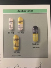 <p>Nitrofurantoin</p><p>Nitrofuran Antibiotic</p><p>UTI</p>