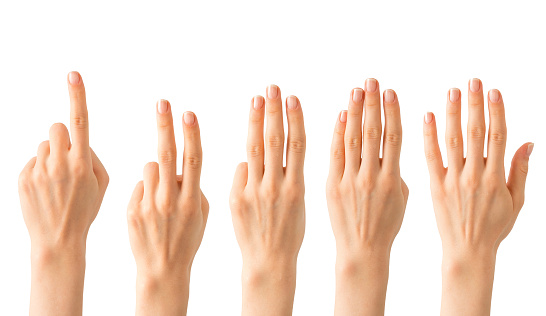 <p>One of the five digits of the hand.</p>