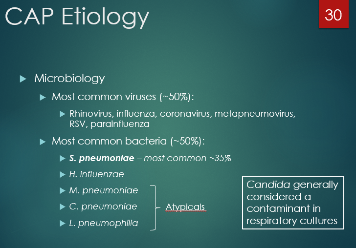 <ol><li><p>strep pneumo</p></li><li><p>M. pneumo</p></li><li><p>C. pneumo</p></li><li><p>L. pneumo</p></li><li><p>h. influenzae</p></li></ol><p></p>