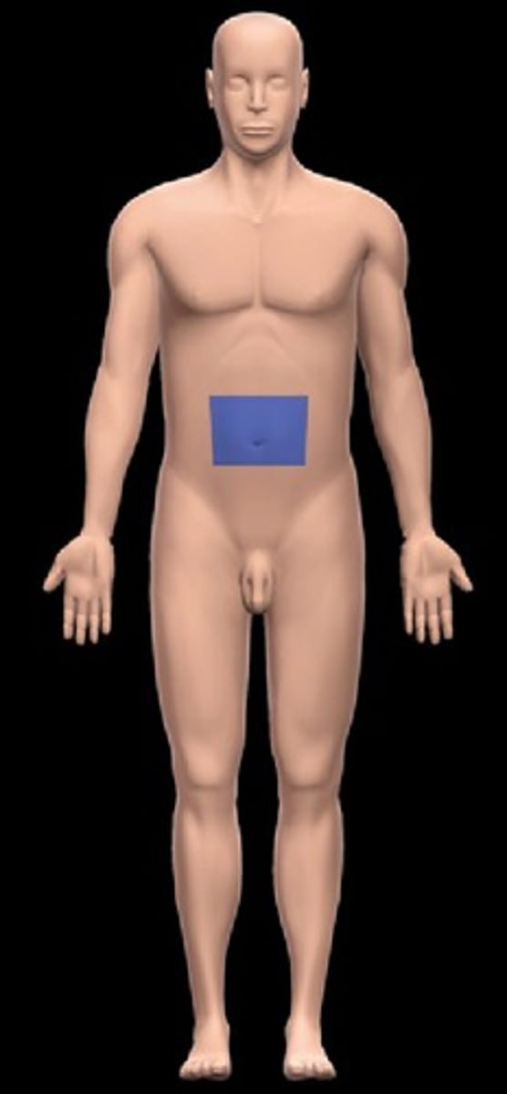 knowt flashcard image
