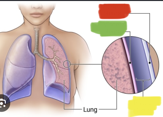 <p>green </p>