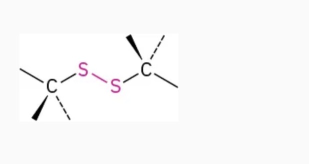<p>2 sulfur atoms bonded together sandwiched betwen carbons</p><p>Name ending: disulfide</p><p>Ex: Dimethyl disulfide</p>