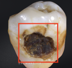 <p>What is the classification?</p>