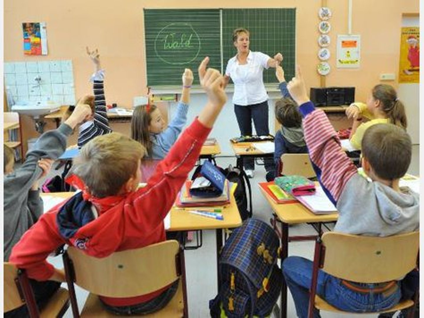 <p>training, education</p>