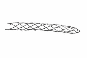 <p>A leaf shape that is awl-shaped, tapering from a broad base to a sharp point.</p>
